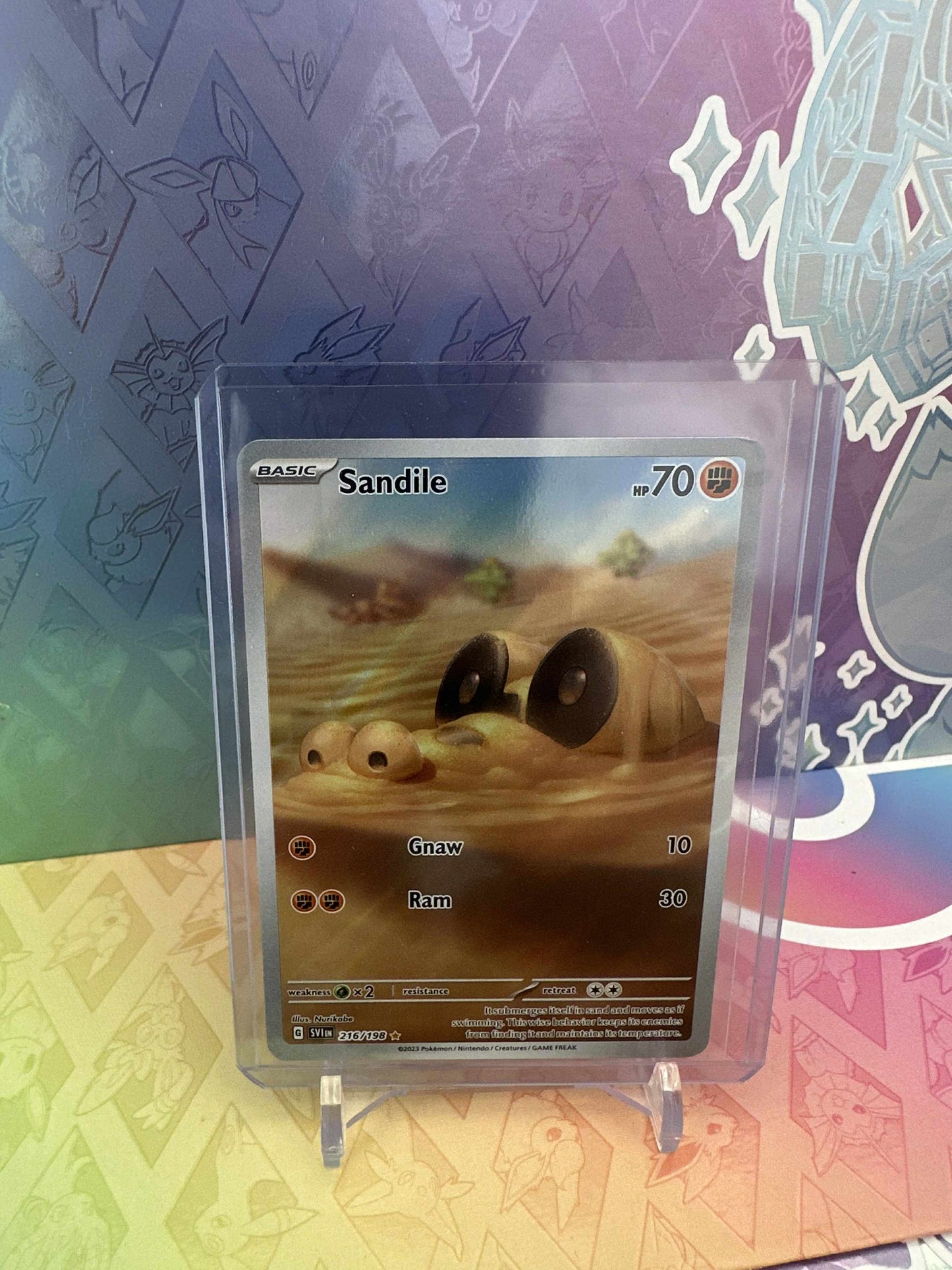 Sandile (SVI 216) Scarlet & Violet