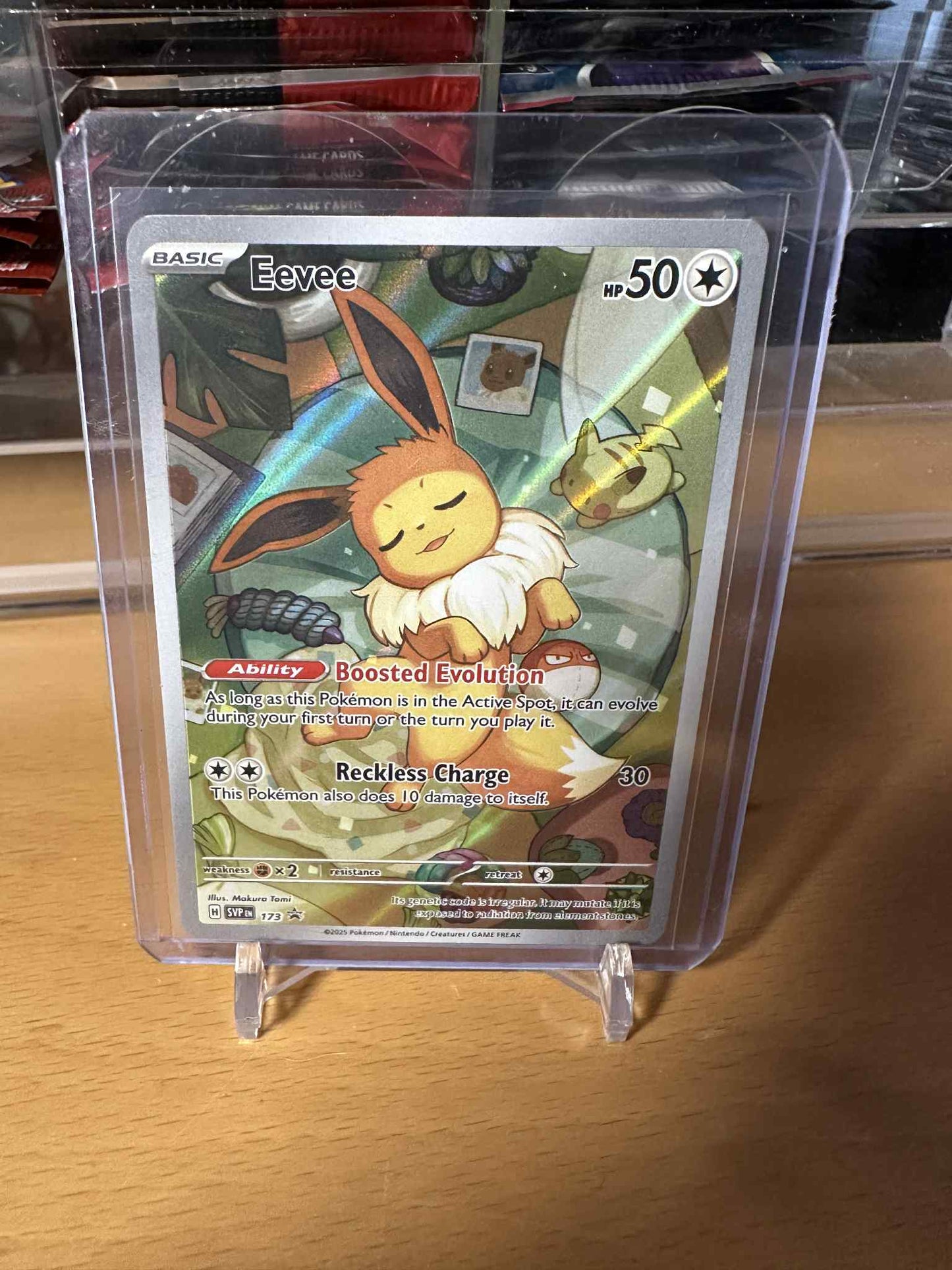 Eevee (SVP 173)